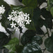 9' Outdoor UV-Proof Artificial Jasmine Flower Garland -White (Pack of 2) - A-234020