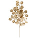 25" Metallic Artificial Silver Dollar Eucalyptus Leaf Stem -Gold (Pack of 24) - A-240072