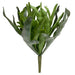 21" Outdoor UV-Proof Artificial Staghorn Fern Plant -Green (Pack of 4) - A-250590