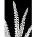 32" Mixed Flocked Fern Artificial Stem -Green/White (Pack of 12) - A-250800