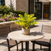 20" Outdoor UV-Proof Artificial Croton Leaf Plant -Yellow/Green (Pack of 4) - A-253330