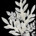 27" Pearlized Artificial Bay Leaf & Ruscus Stem -White/Iridescent (Pack of 12) - A-260170