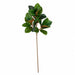 45" Soft-Touch Artificial Magnolia Leaf Stem -Green (Pack of 8) - A-261170