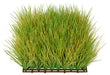 30"x20"x6" Mexican Grass Artificial Mat -Green/Tan - A-50366