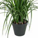 4'9" Artificial Plastic River Grass Plant w/Pot -Green (Pack of 2) - A61601