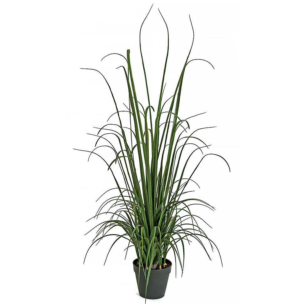 best soil for monstera 100% Organic Monstera Potting Soil Mix — Nutrient Rich, Well-Draining –  Houseplant Resource Center main image 0