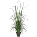 4'9" Artificial Plastic River Grass Plant w/Pot -Green (pack of 2) - A61601