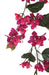 9'6" Outdoor UV-Proof Artificial Bougainvillea Garland Deluxe -Lavender/Fuchsia (Pack of 4) - A-62022DLX