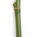 4' Plastic Artificial Bamboo Stick -Green (pack of 12) - A83205