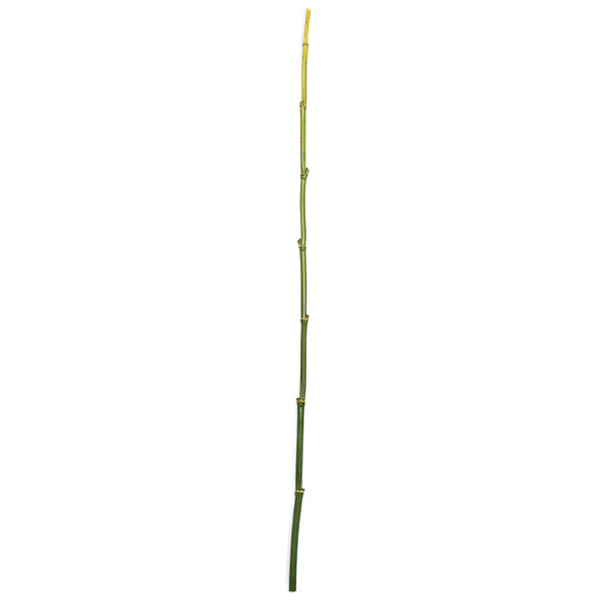 4' Plastic Artificial Bamboo Stick Green Bamboo Stems — Silks Are