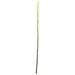 4' Plastic Artificial Bamboo Stick -Green (pack of 12) - A83205