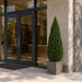 6' Outdoor UV-Proof Artificial Cedar Cone-Shaped Artificial Topiary Tree w/Pot -Green - A84186