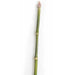 35" Artificial Equisetum Grass Stem -Green (pack of 24) - A91600