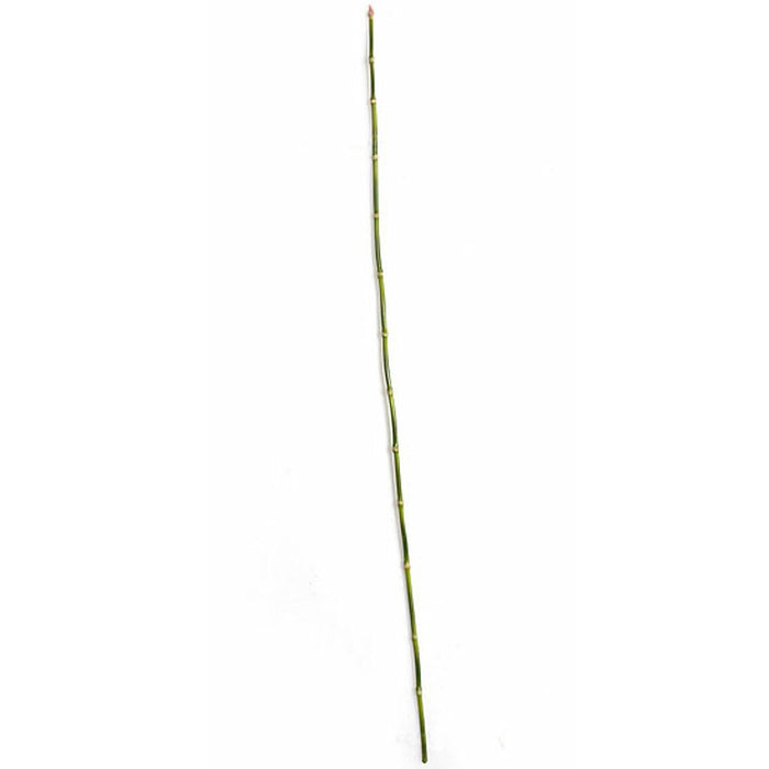 35" Artificial Equisetum Grass Stem -Green (pack of 24) - A91600