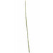 35" Artificial Equisetum Grass Stem -Green (pack of 24) - A91600