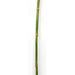 46" Artificial Equisetum Grass Stem -Green (pack of 12) - A92803