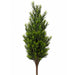 36" Custom-Made Outdoor UV-Proof Artificial Podocarpus Plant -2 Tone Green - A9681