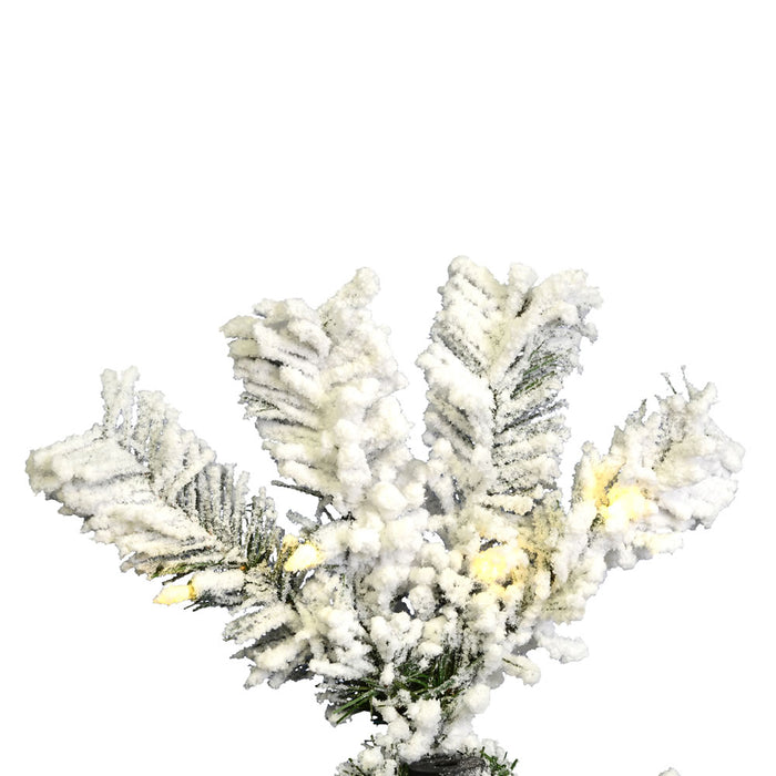5'6"Hx30"W Flocked Pencil Pacific Pine Artificial Christmas Tree, LED Pre-Lit -White - A100356LED