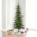 6'Hx42"W Shawnee Fir Artificial Christmas Tree, Unlit -Green - A101865