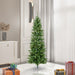 5'6"Hx28"W Slim Salem Pine Artificial Christmas Tree, LED Pre-Lit -Green - A103056LED