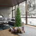 6'6"Hx32"W Slim Salem Pine Artificial Christmas Tree, Micro LED Pre-Lit (Multi-Mode) -Green - A103068LEDCC