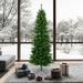 8'6"Hx40"W Slim Salem Pine Artificial Christmas Tree, Unlit -Green - A103080