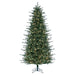 6'6"Hx46"W PE Slim Itasca Fraser Artificial Christmas Tree, LED Pre-Lit -Green - A110266LED