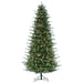 12'Hx75"W PE Slim Itasca Fraser Artificial Christmas Tree, LED Pre-Lit -Green - A110291LED