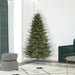 6'6"Hx56"W PE Itasca Fraser Artificial Christmas Tree, Unlit -Green - A110365