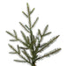 9'6"Hx76"W PE Itasca Fraser Artificial Christmas Tree, Unlit -Green - A110385