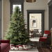 7'6"Hx64"W PE Itasca Fraser Artificial Christmas Tree, Micro LED Pre-Lit (Multi-Mode) -Green - A110376LEDCC