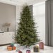 8'6"Hx70"W PE Itasca Fraser Artificial Christmas Tree, LED Pre-Lit -Green - A110381LED