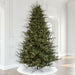 12'Hx93"W PE Itasca Fraser Artificial Christmas Tree, Micro LED Pre-Lit (Multi-Mode) -Green - A110391LEDCC