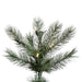 12'Hx66"W PE Slim Cashmere Pine Artificial Christmas Tree, LED Pre-Lit -Green - A118191LED