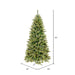 6'6"Hx42"W PE Slim Cashmere Pine Artificial Christmas Tree, LED Pre-Lit -Green - A118166LED
