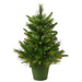 2'Hx21"W PE Cashmere Pine Artificial Christmas Tree, Unlit -Green - A118224