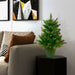 2'Hx21"W PE Cashmere Pine Artificial Christmas Tree, Unlit -Green - A118224