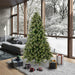 7'6"Hx55"W PE Cashmere Pine Artificial Christmas Tree, Unlit -Green - A118275