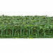 20"x20"x1" Outdoor UV-Proof IFR Artificial Boxwood Mat -Green (Pack of 4) - AR135460