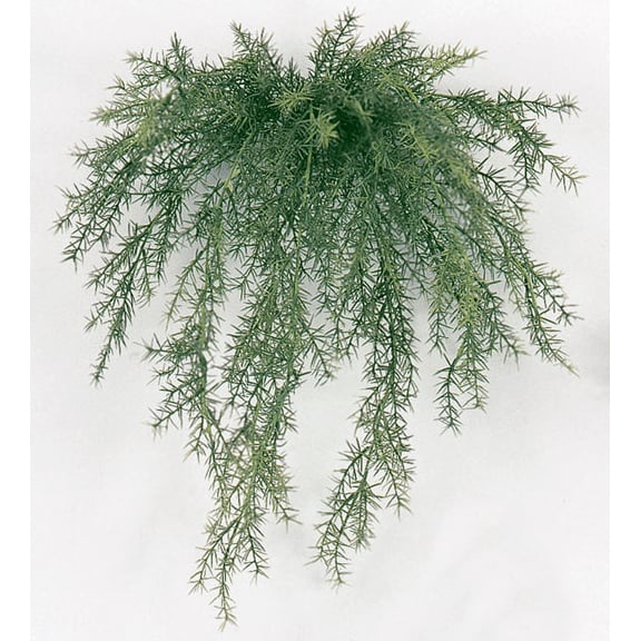 20" UV-Proof Outdoor Artificial Sprengeri Fern Hanging Plant -Green (pack of 12) - A159