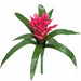 14" Outdoor UV-Proof Artificial Bromeliad Plant Flower Bush -Fuchsia (Pack of 6) - A-72710