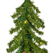 4'Hx25.5"W Natural Trunk Alpine Artificial Christmas Tree, Micro LED Pre-Lit (Multi-Mode) -Green - A805141LEDCC