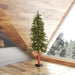 4'Hx25.5"W Natural Trunk Alpine Artificial Christmas Tree, LED Pre-Lit -Green - A805141LED