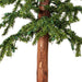 4'Hx25"W Set Of Natural Trunk Alpine Artificial Christmas Trees, LED Pre-Lit -Green - A805181LED