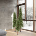 6'Hx33"W Set Of Natural Trunk Alpine Artificial Christmas Trees, Unlit -Green - A805183