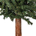 6'Hx33"W Set Of Natural Trunk Alpine Artificial Christmas Trees, LED Pre-Lit -Green - A805184LED