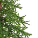 8'Hx50"W Natural Trunk Alpine Artificial Christmas Tree, Unlit -Green - A805190