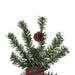 7'Hx41"W Natural Trunk Alpine Artificial Christmas Tree With Pinecone & Vines, Unlit -Green - A807270