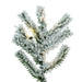 4'Hx23"W Flocked Natural Trunk Alpine Artificial Christmas Tree, LED Pre-Lit -White/Green - A807441LED