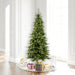 7'6"Hx45"W Slim Camdon Fir Artificial Christmas Tree, LED Pre-Lit -Green - A860876LED